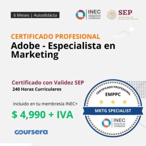 Imagen del curso